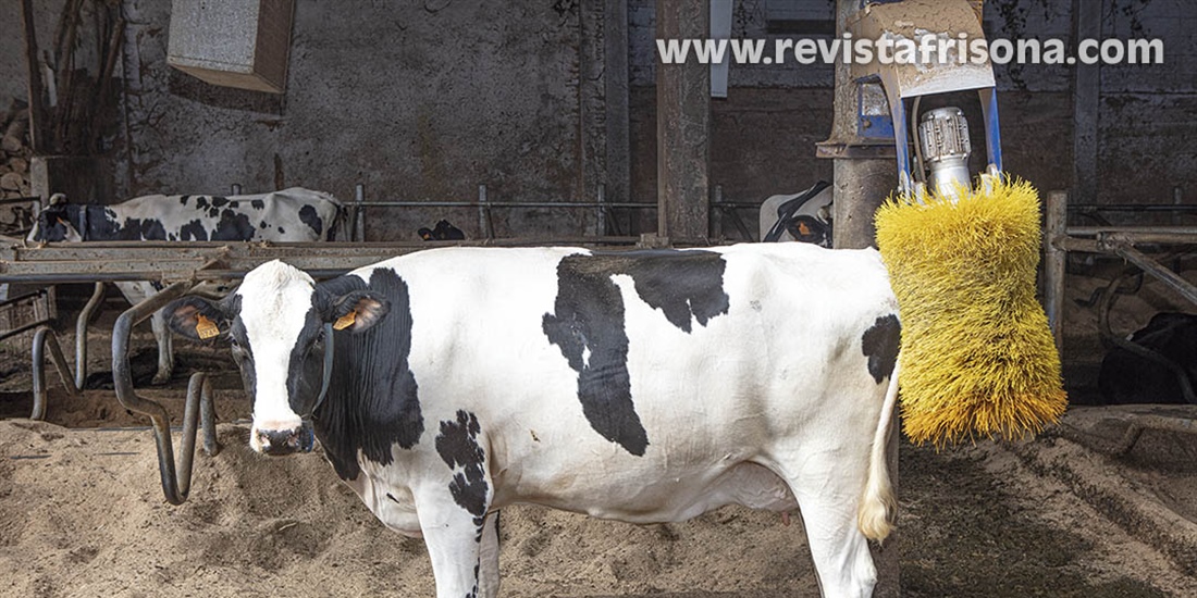 #RealidadGanadera: La salud y el bienestar animal est�n...